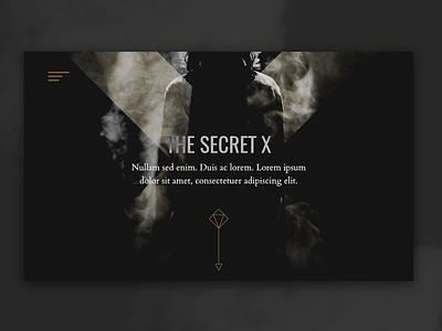 Secret Website Concept