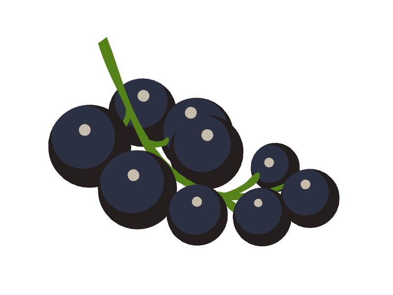 Grapes by Max McLaughlin on Dribbble