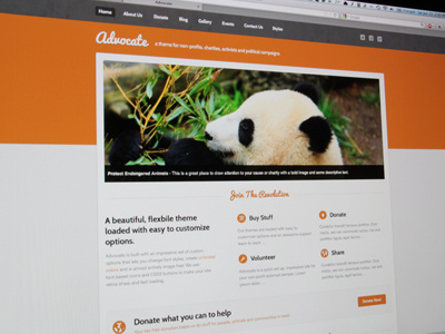 Advocate advocate charity donation nonprofit orange theme themeforest wordpress