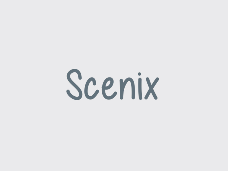 Scenix builder creator flat generator icon line logo retro scene thin vector vintage