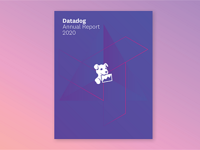 DD Annual Report branding cover art design ebook hexagon hexagons vector