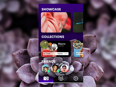 Showcase App for Photographers android app concept design illustration interface ios nature photography social ui user interface