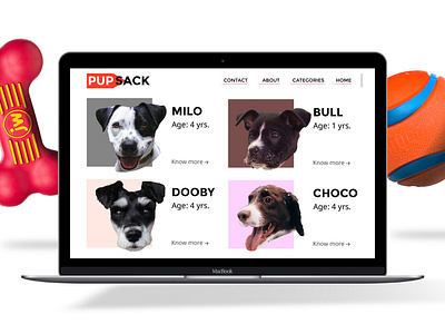 Throwback - PUPSACK Website Design dog ecommerce puppy ui user interface ux web design website