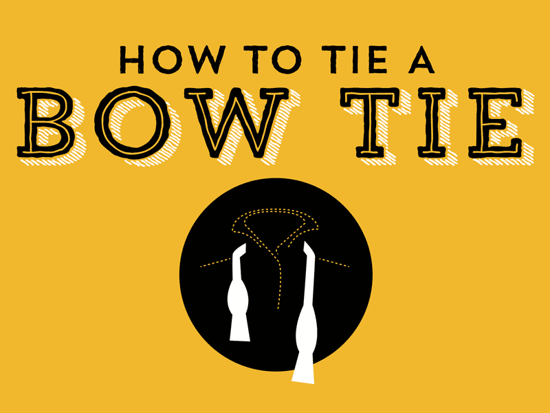 How to tie a bow tie intro animate bow tie