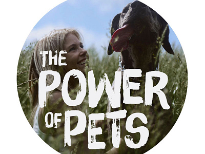 Power of Pets editorial pets
