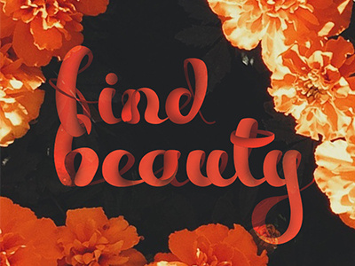 find beauty beauty flowers hand lettering lettering orange script type