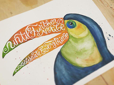 Tucan bird bird exotic handmade lettering multicolor tucan type typography watercolor
