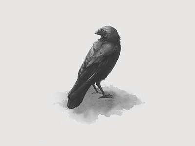 Crow for calendar