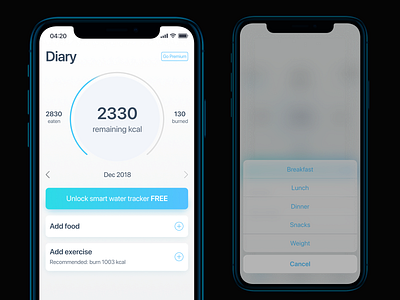 The Tracking Weight app application dashboard diary fitness food interaction interface ios mobile onboarding sport ui ux weight workout