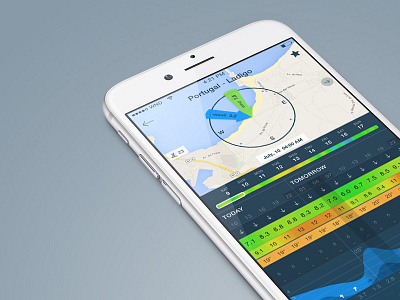 Best forecast app - Windy app forecast graph ios iphone map statistics ui ux weather