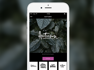 AppForType. New Autumn set is ready app application calligraphy icon instagram interface ios iphone type ui ux