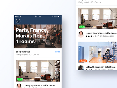 067 Hotel Booking app app design booking booking app bookings dailyui design flat grid hotel hotel app hotel booking interface minimal paris room rooms ui ux