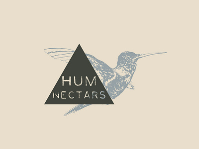 Hum Nectars branding design graphic design icon illustration logo minimal typography vector web