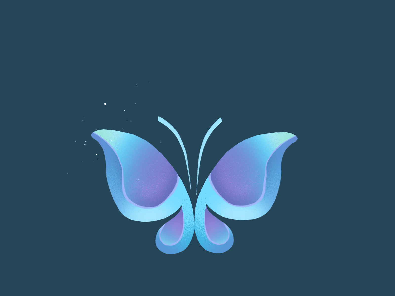 Butterfly Spine Animation animated animation butterfly gif illustration spine spine2d