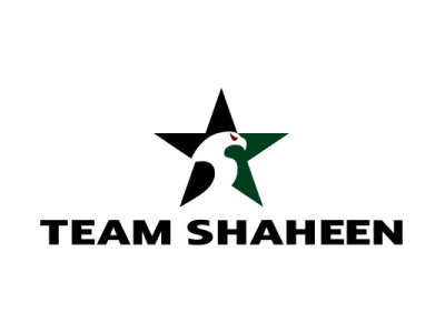 Team Shaheen logo mixed martial arts mma negative space logo negativespace pakistan