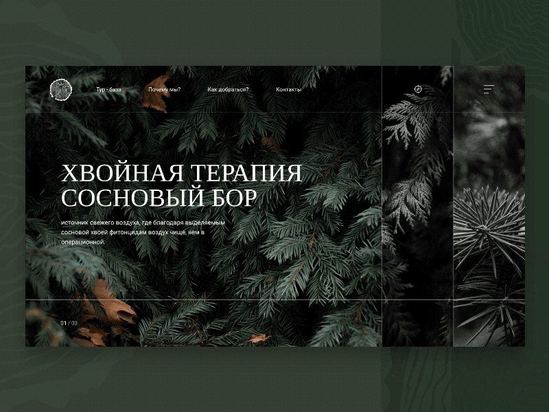 WoodShot animation banner gif green herro motion principle ui ux