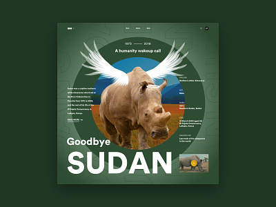 SQUARE Challenge - Sudan The Rhinoceros 003 animal challenge daily ui design goodbye nature square sudan ui ux web