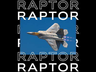 F-22 Raptor aircraft app application branding delivery design designer dribbble f22 illustration indonesia logo raptor streetwear ui us airforce usaf vector