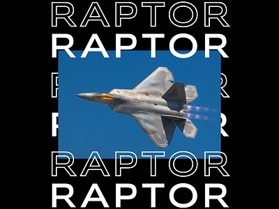 F-22 Raptor aircraft app application branding delivery design designer dribbble f22 illustration indonesia logo raptor streetwear ui us airforce usaf vector