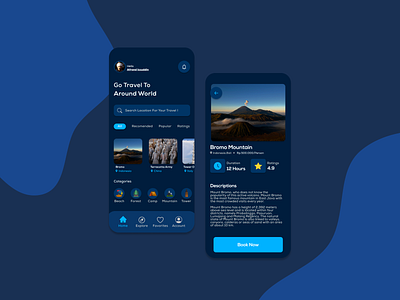 Travel App UI Design branding design figma mobile ui ux