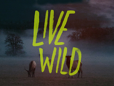 Live Wild elk font hand lettered hand lettering lettering multimedia nature oregon pacific northwest photography typography work
