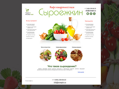 Healthy food. website(2011)