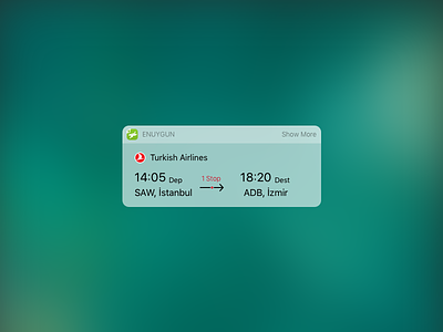 flight widget for IOS airlines app app design booking clean flight free ios ui ux widget