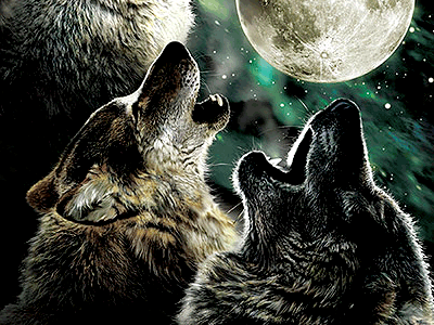 Call of the Wolf and Moon Spirits by Kyo on Dribbble