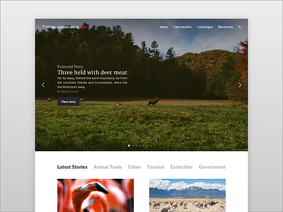 Designing a support for animals animals homepage ia news ui ux