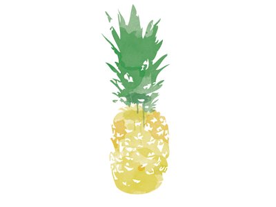 Pineapple fruit pineapple tropical watercolor