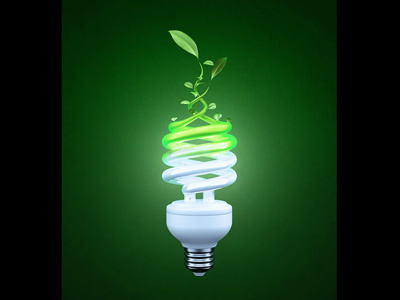 Eco Bulb