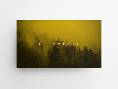 EPHEMERAL | Brand & Wordpress Design branding design graphic design