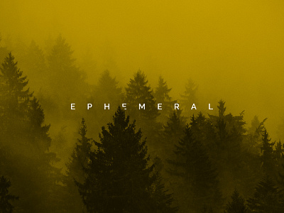 EPHEMERAL | Brand & Wordpress Design branding design graphic design logo