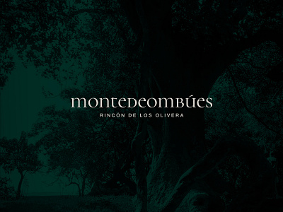 Monte de Ombúes | Brand, Wordpress & UX/UI Design