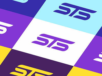 STS Logo Identity Design app brand brand identity branding design golden ratio identity design illustration logo sts logo ui ux vector