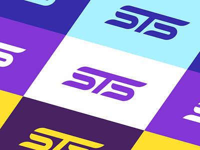 STS Logo Identity Design