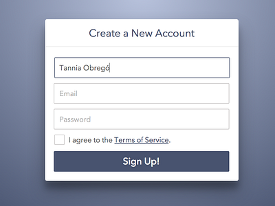 Daily UI 001: Sign Up