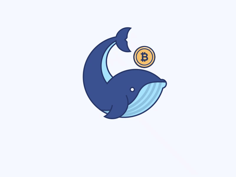 Cryptocurrency Whale 2d 2d animation after affects after effects animation animation bitcoin coin crypto crypto currency cryptocoin framination icon icon animation icons illustration technology whale