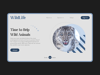 Animal Rescue Landing Page design illustration logo ui ux vector web