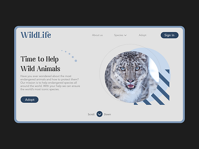 Animal Rescue Landing Page