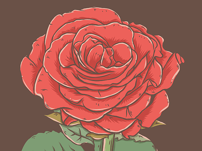 Rose illustration rosa rose