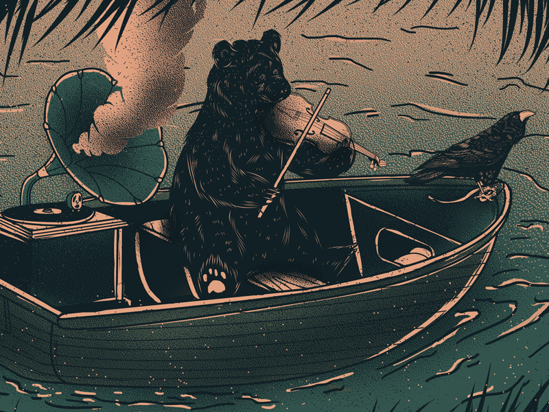 Andrew bird illustration svc