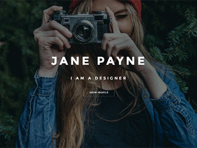 Vcard - Responsive CV WordPress Theme personal portfolio profile resume vcard wordpress