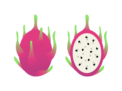 Dragonfruit dragonfruit fruit illustration vector