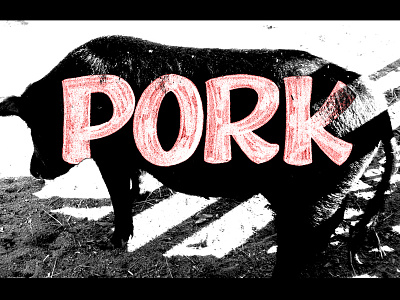 Pork farm animals hand lettering pig pork