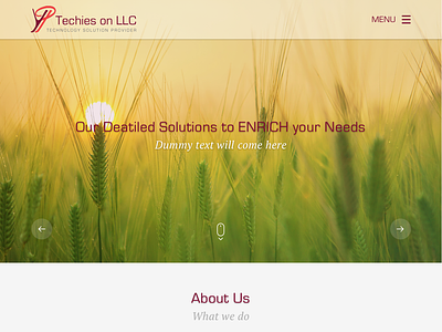 Techies-on Website Design - Dubai design dubai landing page simple design user experience ux user interface ui web