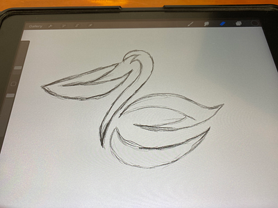 Pelican logo 3d animal animation apparel branding design esport graphic design icon illustration initial logo mascot modern motion graphics pelican sketch sport symbol ui