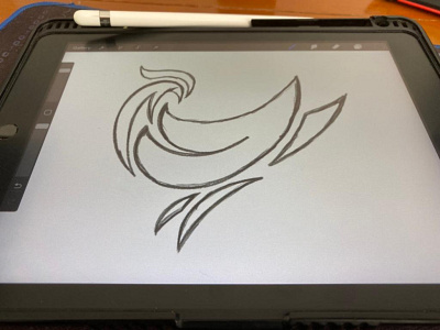 Bird logo sketch