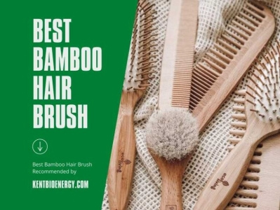Best Bamboo Hair Brush Review 2021 (TOP 5 CHOICES) branding logo motion graphics
