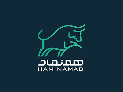 HamNamad Logo branding concept graphic icon logo logotype persian